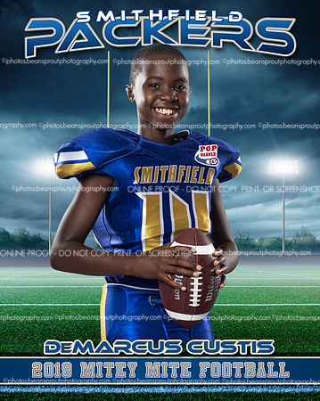 mmfb.custis.ind