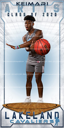 55.artis